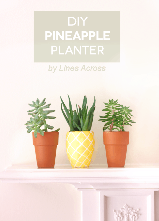 DIY pineapple cactus planter
