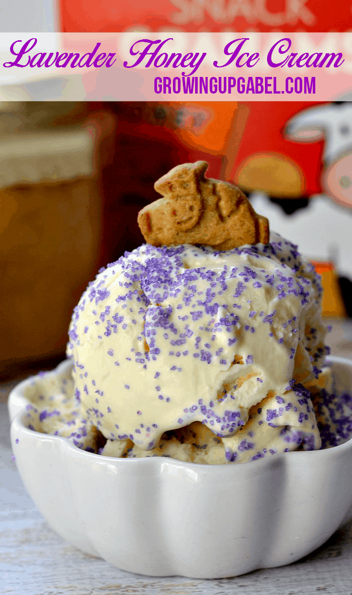 Honey lavender homemade ice cream