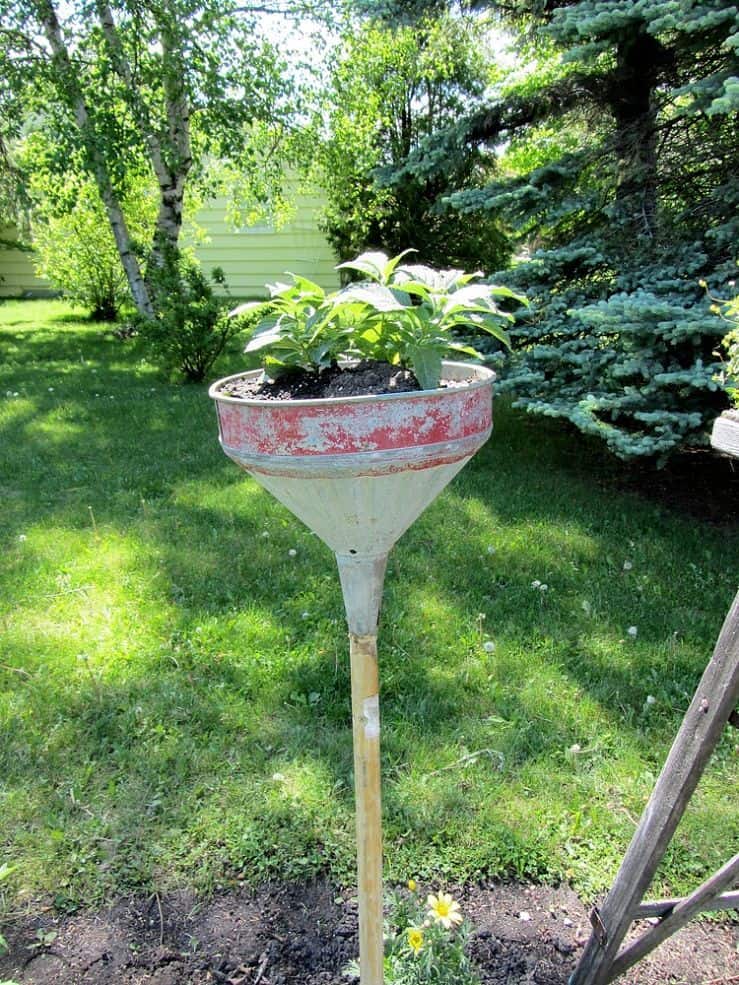 Broom handle and funnel planter