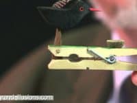 Flying High: 15 Cute Bird Themed Crafts