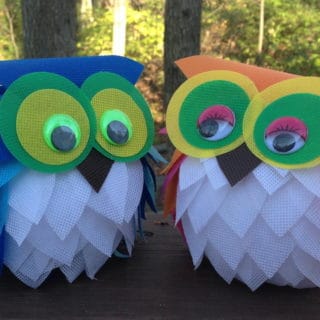 15 Bright Eyed and Adorable Owl Themed Crafts for Everyone