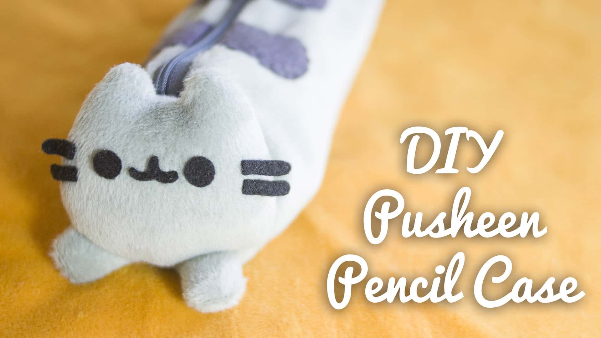 DIY Pusheen pencil case