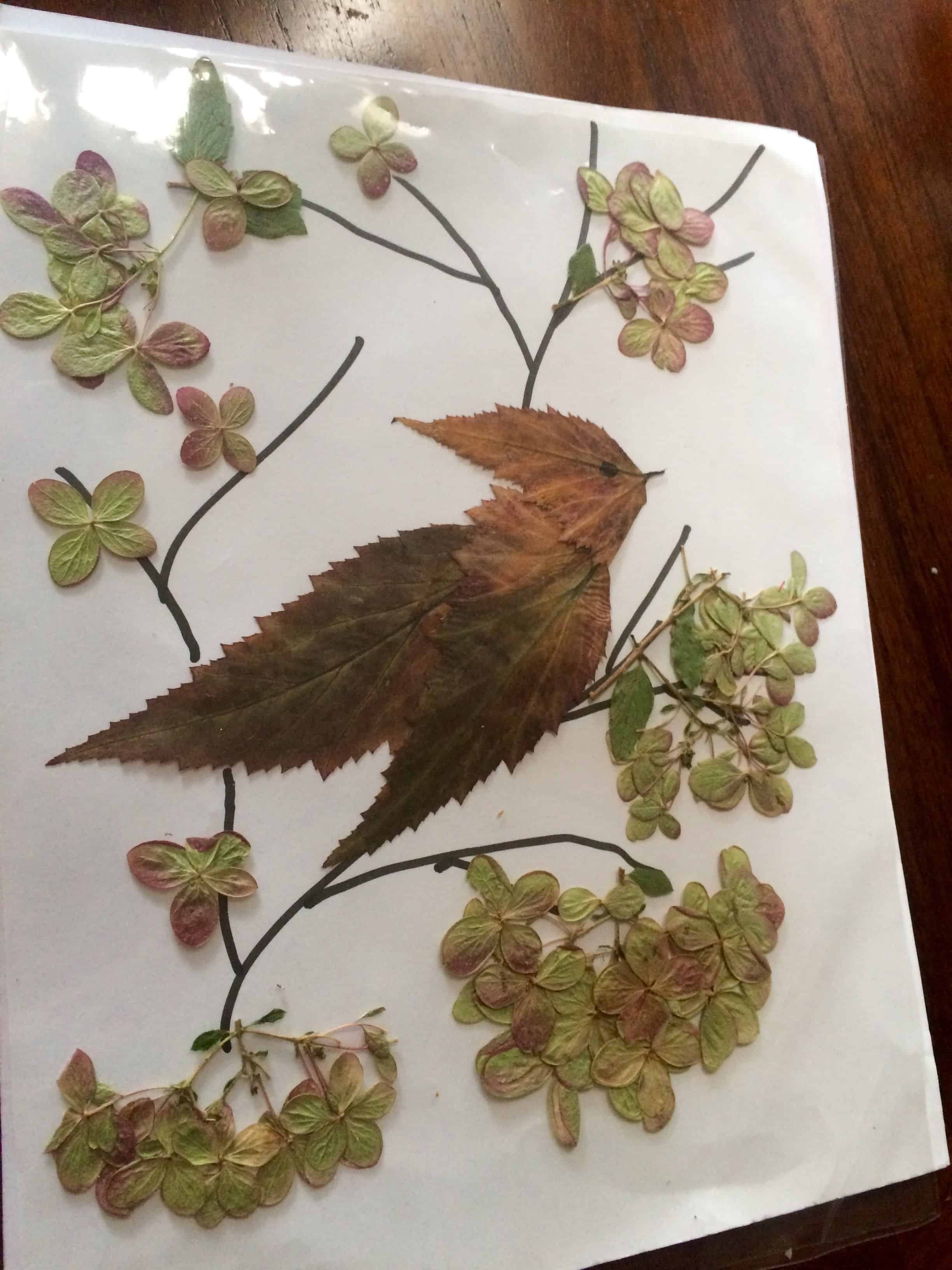 Dried leaf and flower bird art