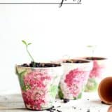 Add Color and Green: Best DIY Plant Decoupage Projects!