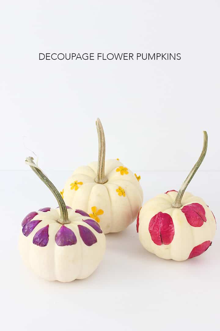 Flower petal decoupage pumpkins