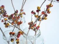 Painted dried flower jars 200x150 15 Dried Flower Crafts that Make Great Fall Decor
