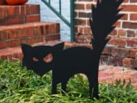Love for your Feline Friend: Awesome Black Cat Themed DIY Projects
