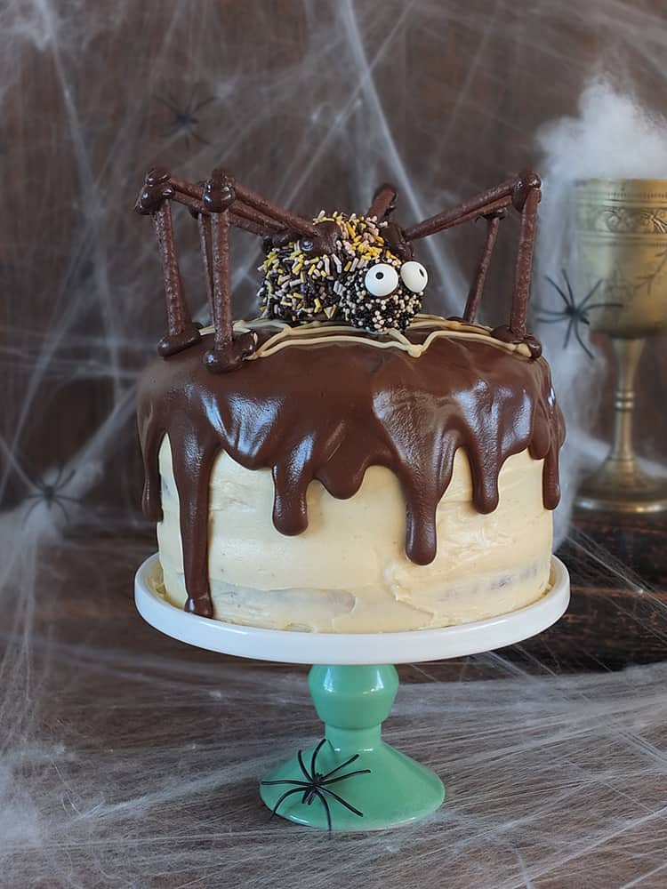 Chocolate peanut butter swirl spider cake