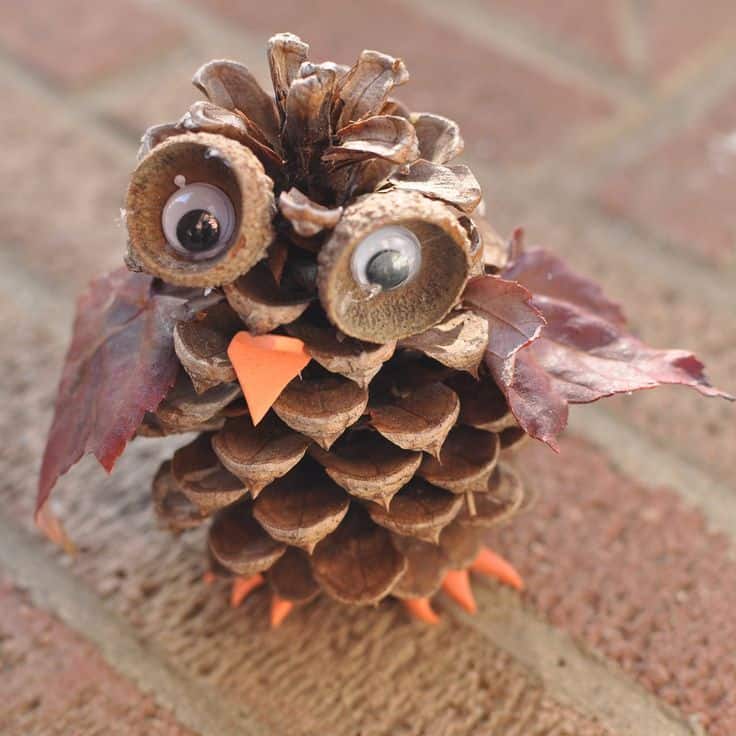 Pine cone owl