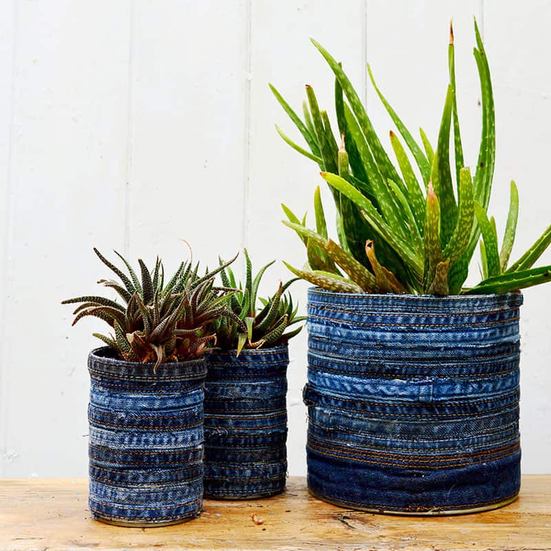 Denim and tin can planters