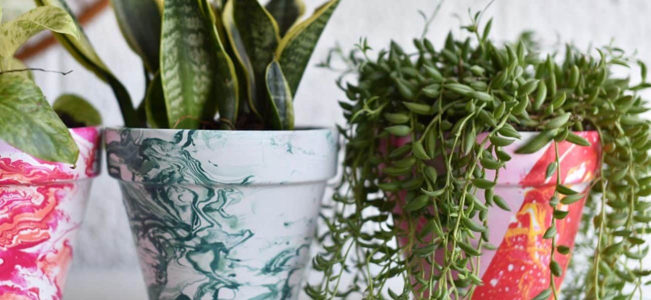 DIY Terra Cotta Pots: 15 Amazing Painted Projects