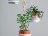 Getting Creative and Green: Unique Indoor Planter Ideas