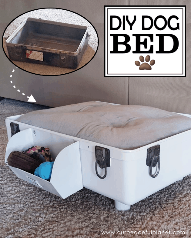 Suitcase dog bed with a toy tub