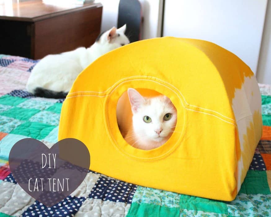 T-shirt cat tent