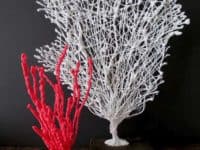 DIY painted coral decor 200x150 Keeping it Simple: 15 Awesome Crafts Made with Hot Glue