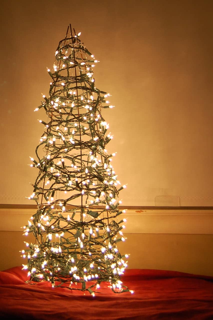 2009 Christmas Tree