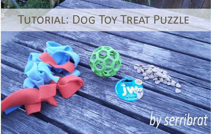 DIY dog treat puzzle