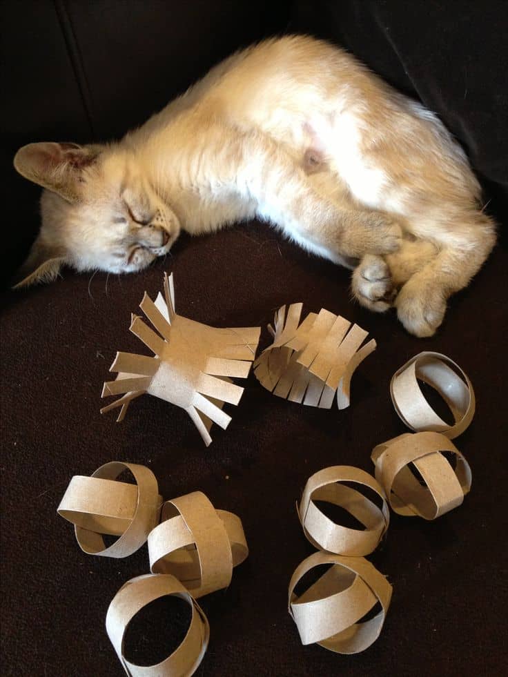 Empty toilet paper roll toys