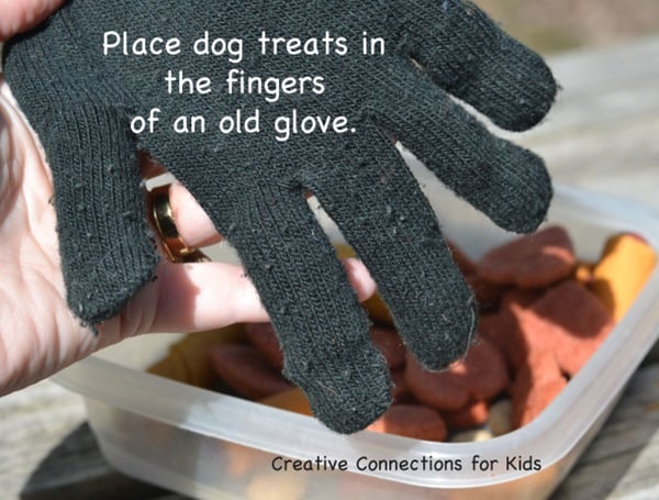 Old glove and dog treat toy