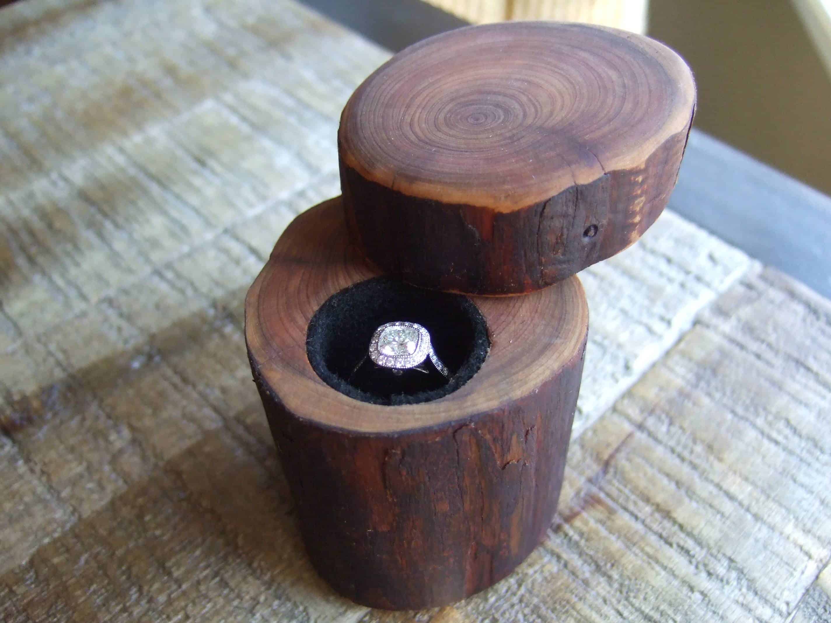 Swivel top branch section ring box