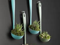 Ladel succulent planter 200x150 How to Use Your Mismatched Cutlery for Things Other than Dining