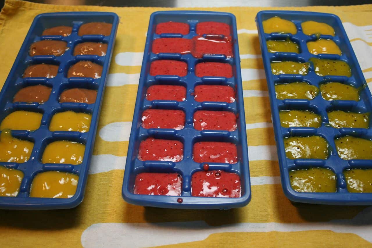 ice cube tray baby food