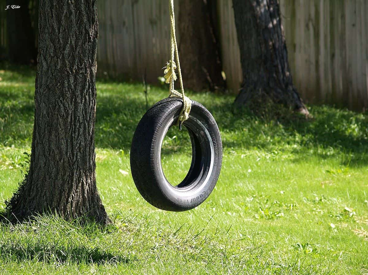 Tire rope swing