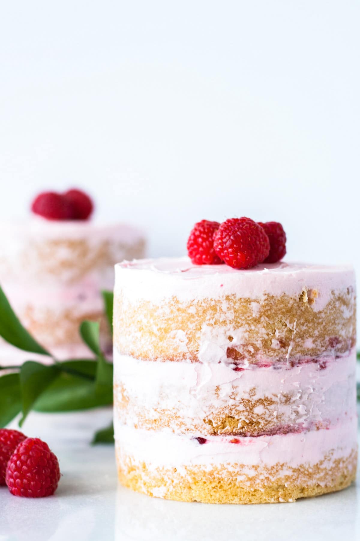 Pretty pink raspberry vanilla mini cakes