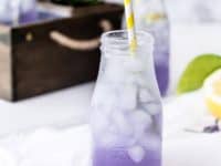15 Delicious Springtime and Summer Lemonade Recipes that Refresh