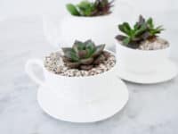 A Sip from the Recycling School: Awesome Ways to Repurpose Old Teacups
