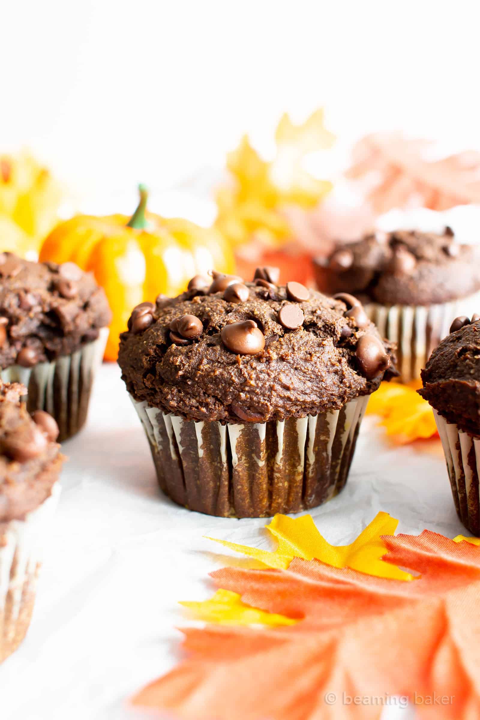 Chocolate pumpkin muffins