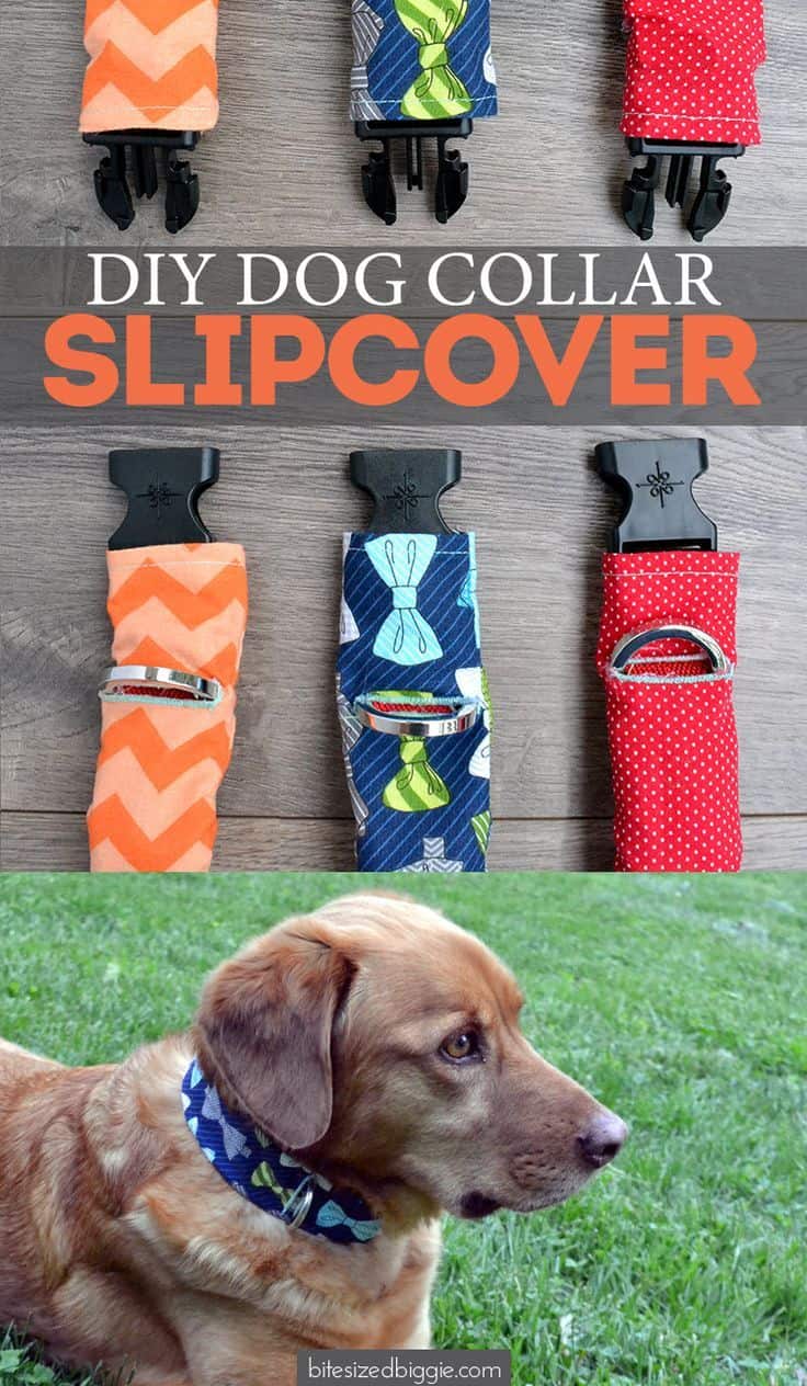 DIY dog collar slip cover