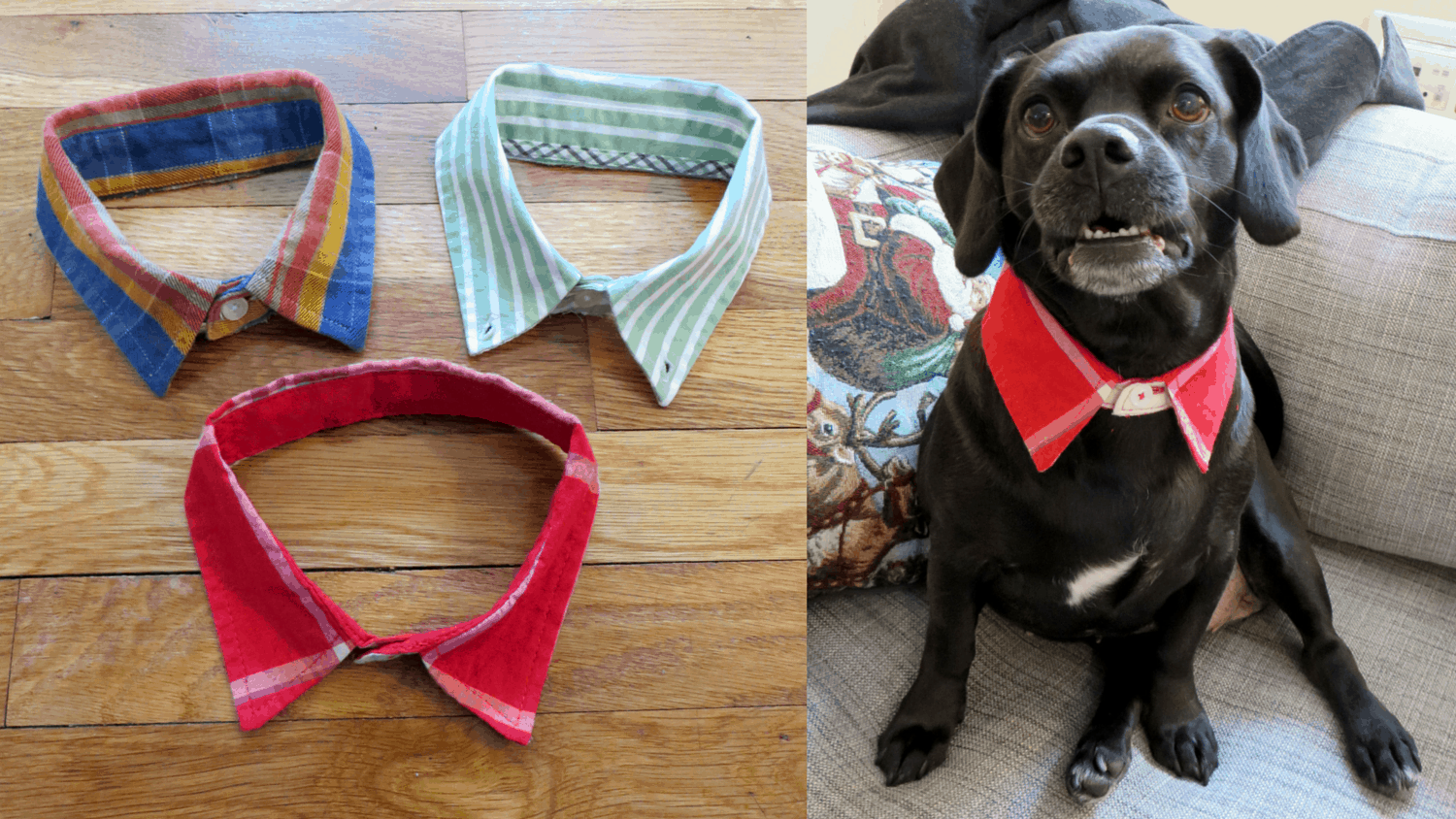 DIY doggie dress shirt collar