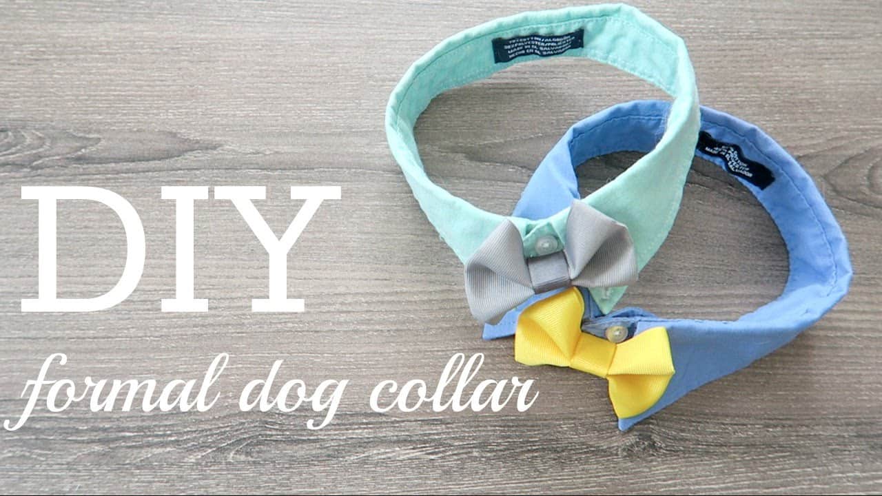 DIY formal dog collar with bow tie