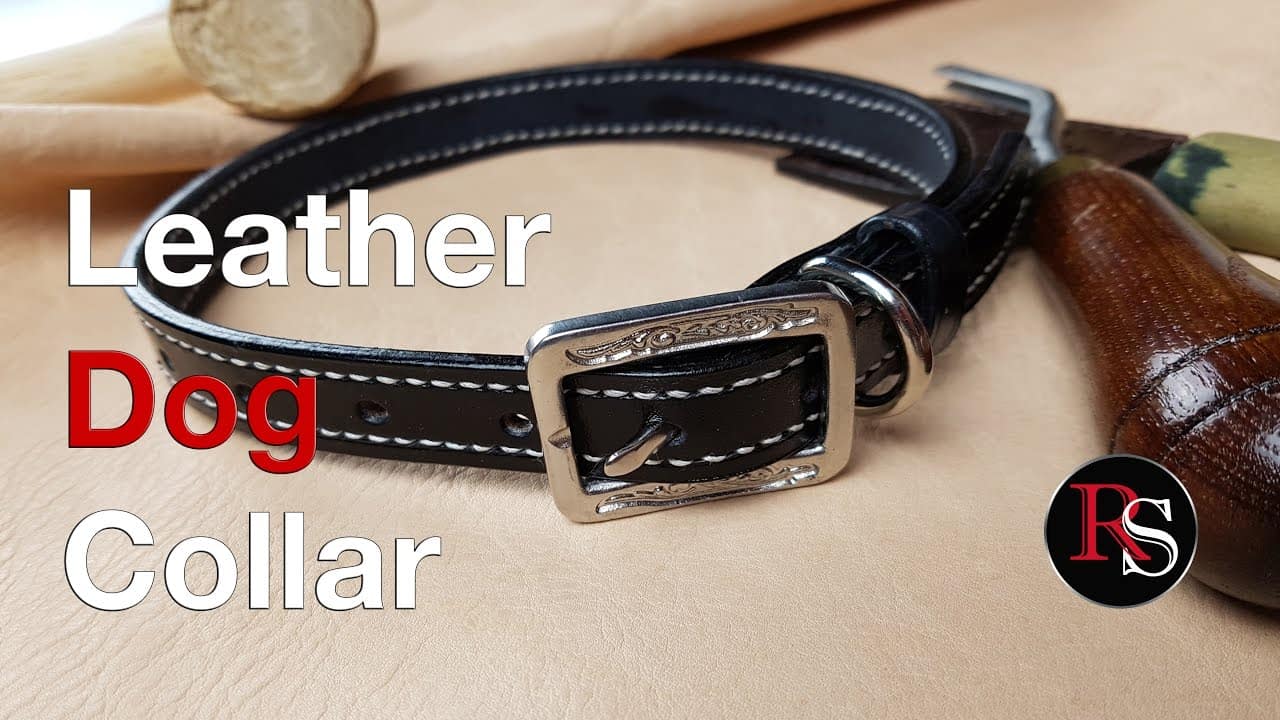 Nice leather collar