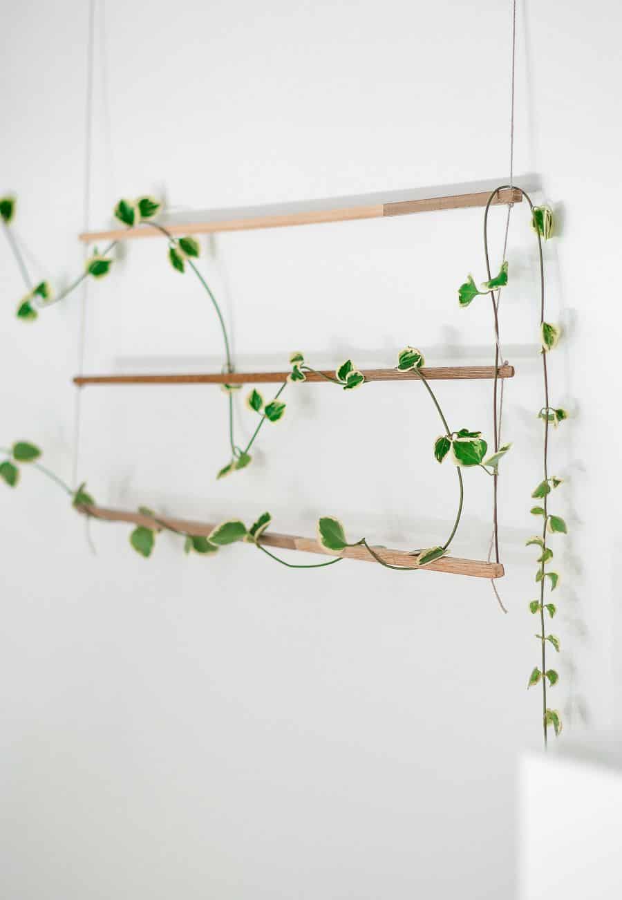 Wooden dowel and vine hanging