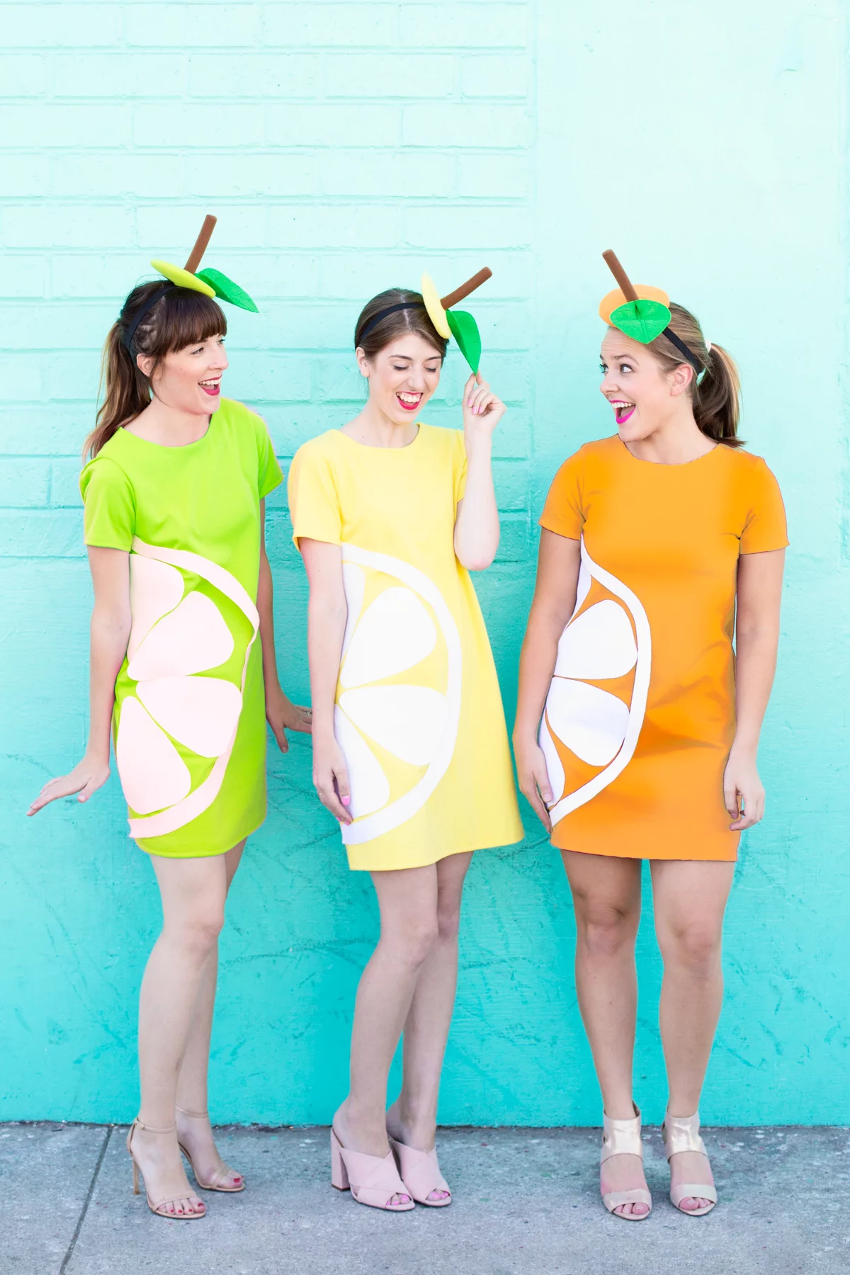 Citrus fruit slices group costume
