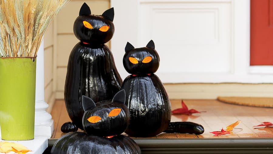 DIY black cat-o-lanterns