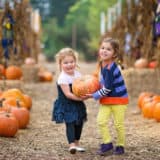 15 Family Activities for Fall to Have Fun