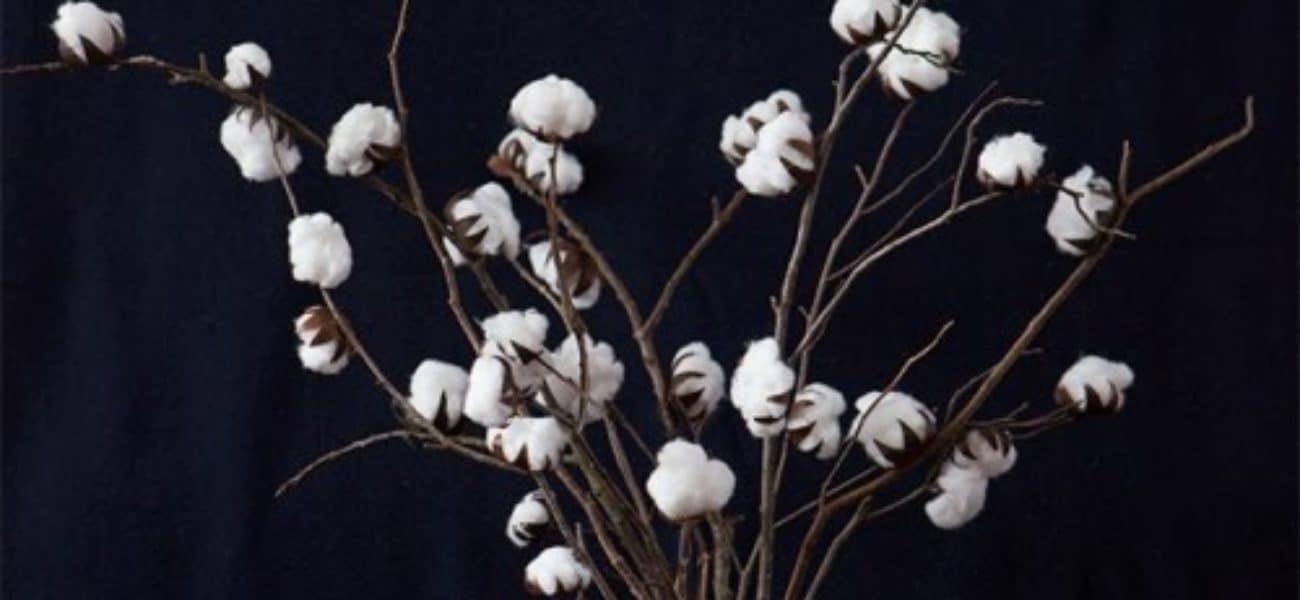 15 Winter Projects Made with Cotton Balls