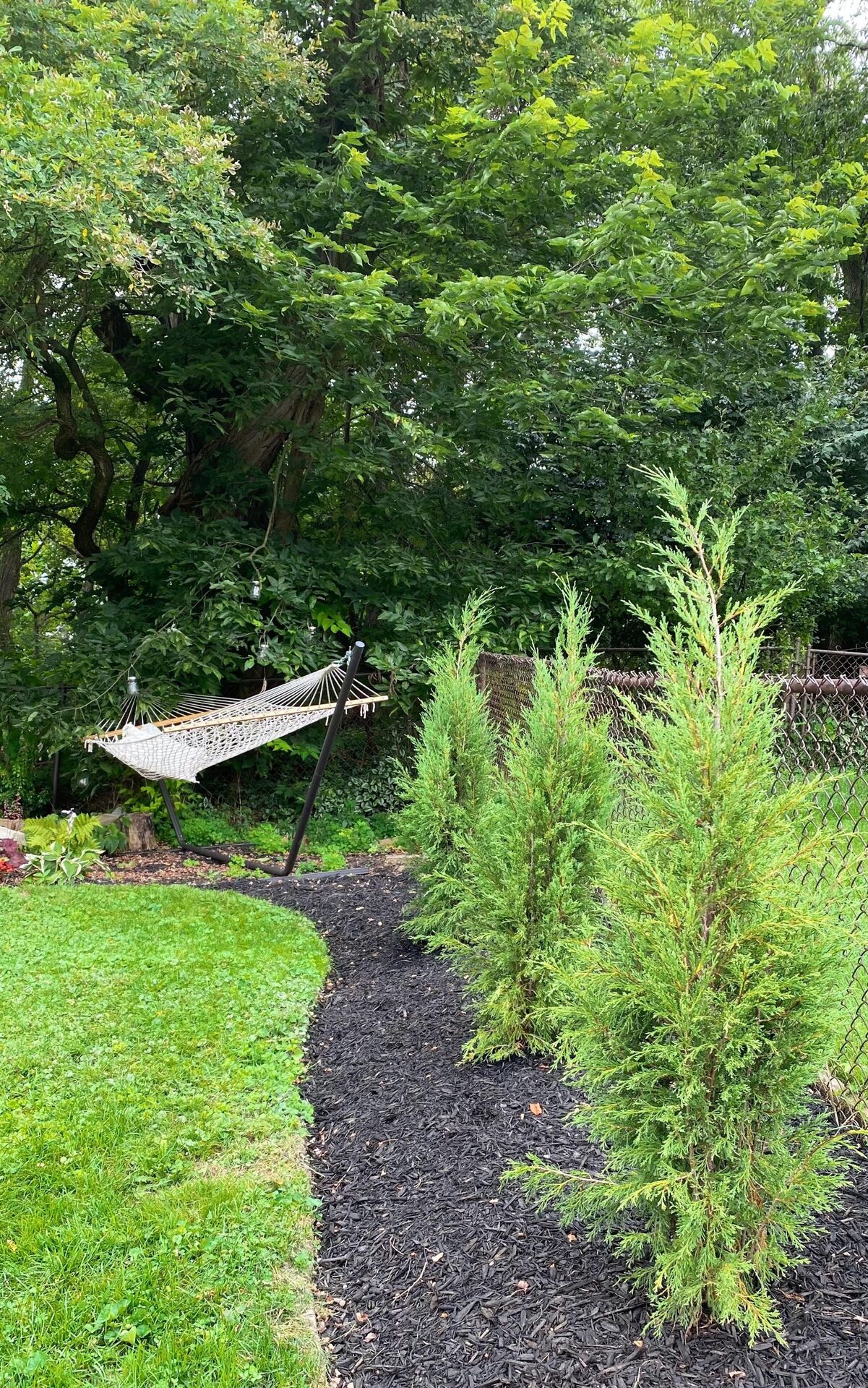 Dark stained privacy fence lined with fresh dark mulch, two spiral evergreen topiaries, a curved cast stone bench, and a stone birdbath, with the dark pergola on the left and a view of trees and hills in the distance.