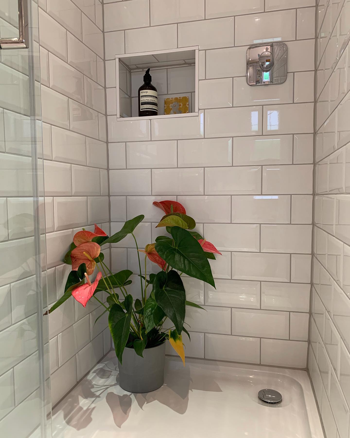 Small white shower lined in glossy beveled subway tiles with a built-in niche holding an Aesop pump bottle, a chrome shaving mirror, and a bright pink anthurium plant in a gray pot on the shower tray