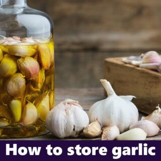 Storing garlic correctly