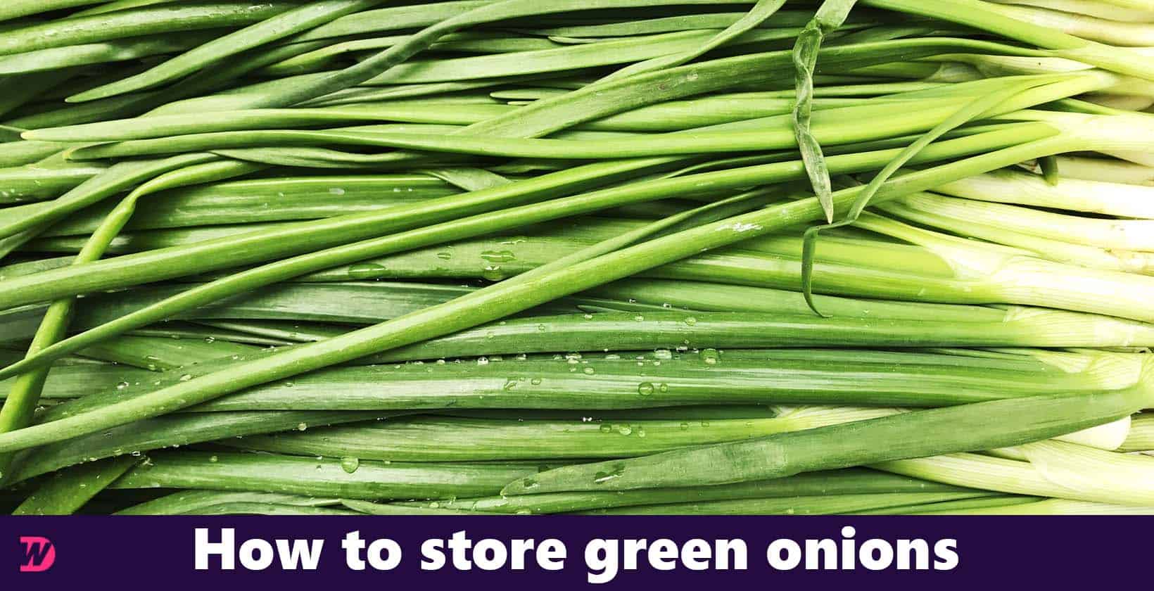 Storing green onions