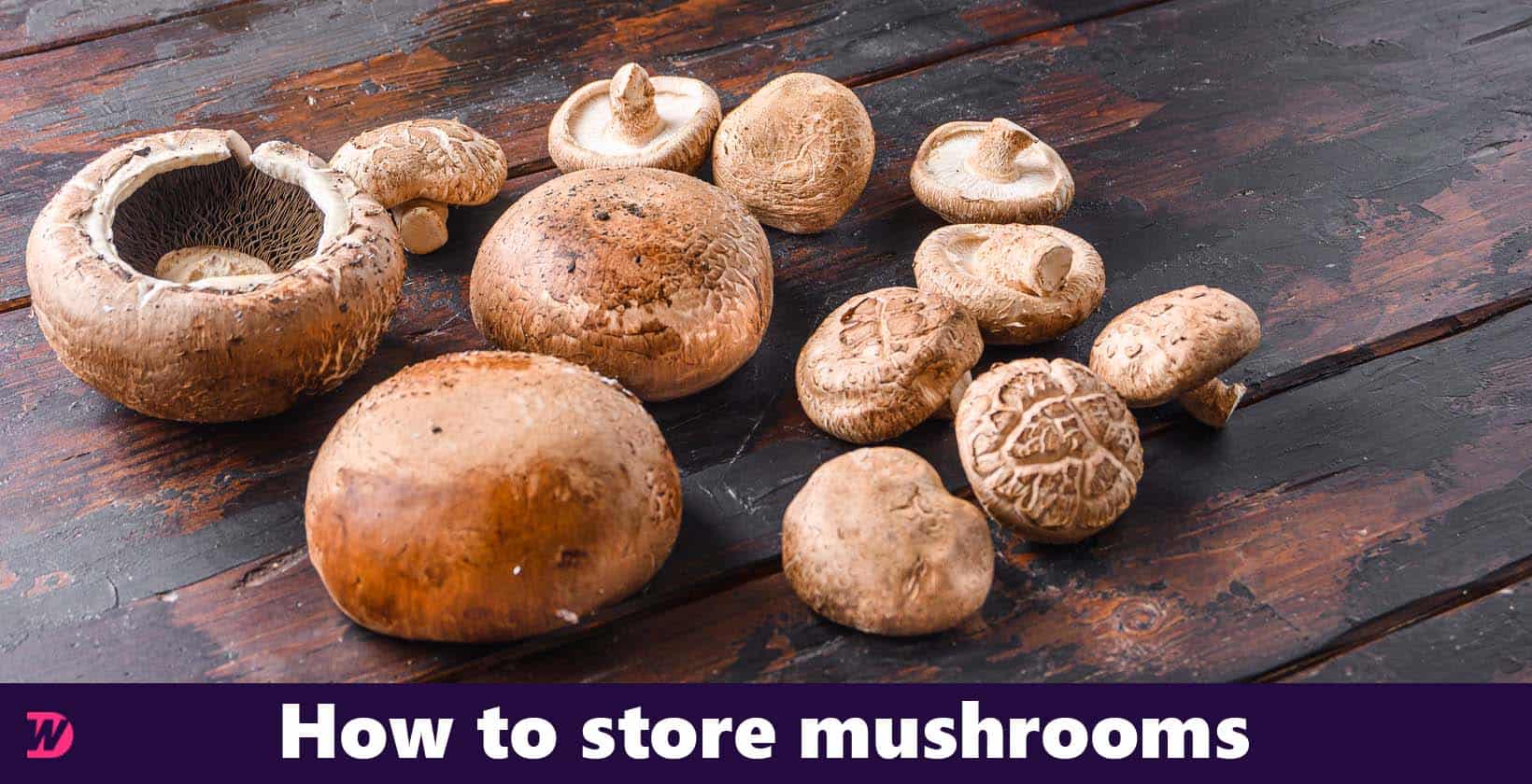 Storing mushrooms