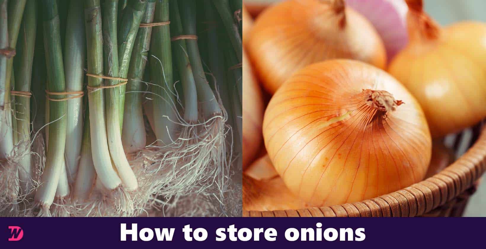 How to store onions